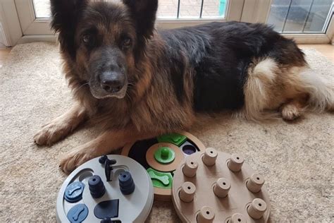 german shepherd dog puzzle|german shepherd toys for boredom.